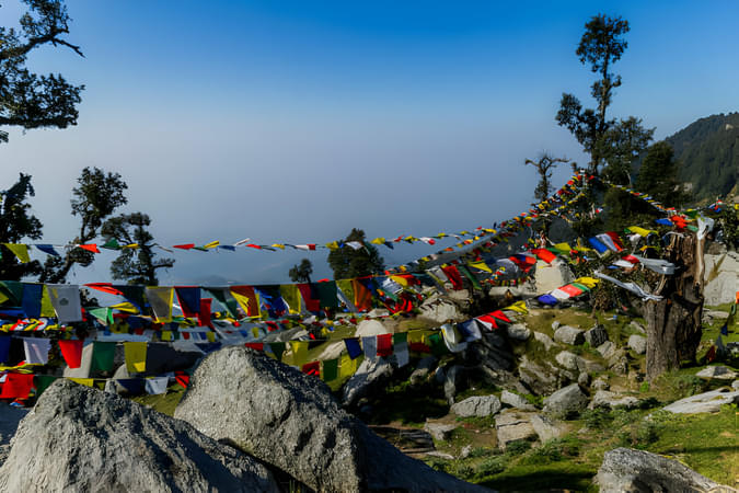 Embark on a thrilling Triund Trek, surrounded by the natural beauty of Himachal
